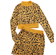 Leopard Print Mock Collar Sweater & Sweater Skirt