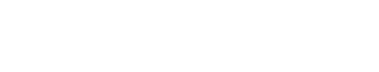 Data Issues