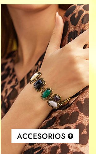  ACCESORIOS 