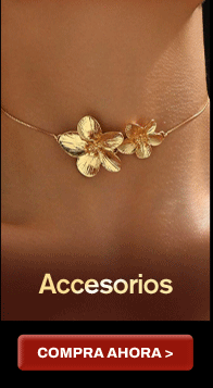  Accesorios 