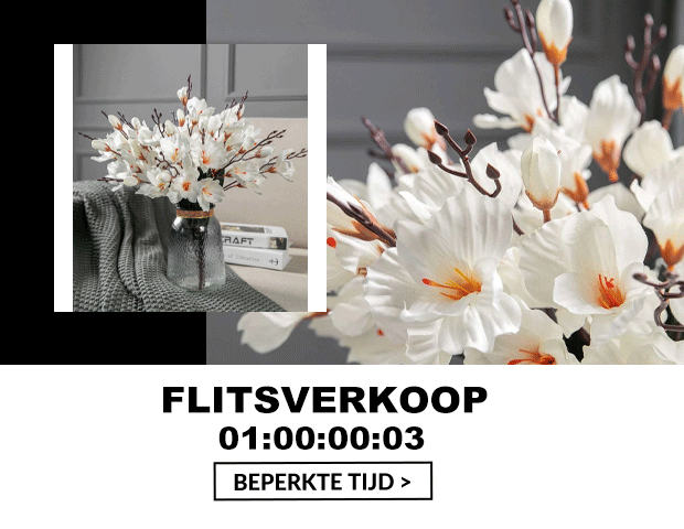 FLITSVERKOOP