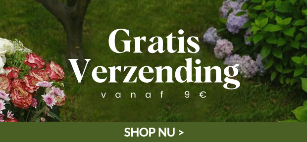 SHOP NU