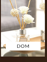 Dom