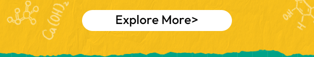 Explore More