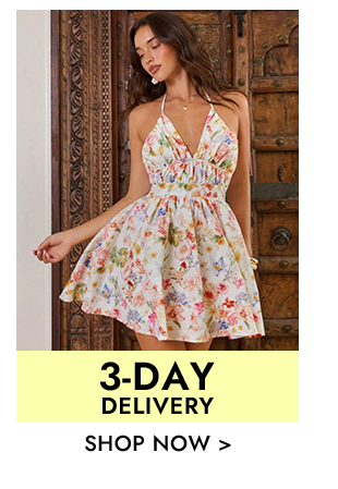 3-Day Delivery