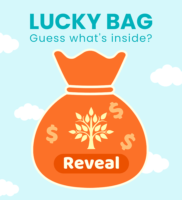 LUCKY BAG