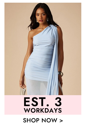 EST.3 Workdays