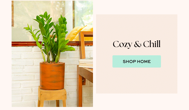 SHOP HOME