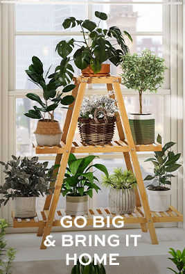 GO BIG & BRING IT HOME