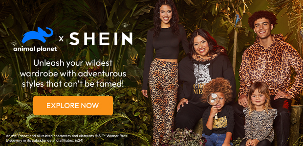 EXPLORE NOW