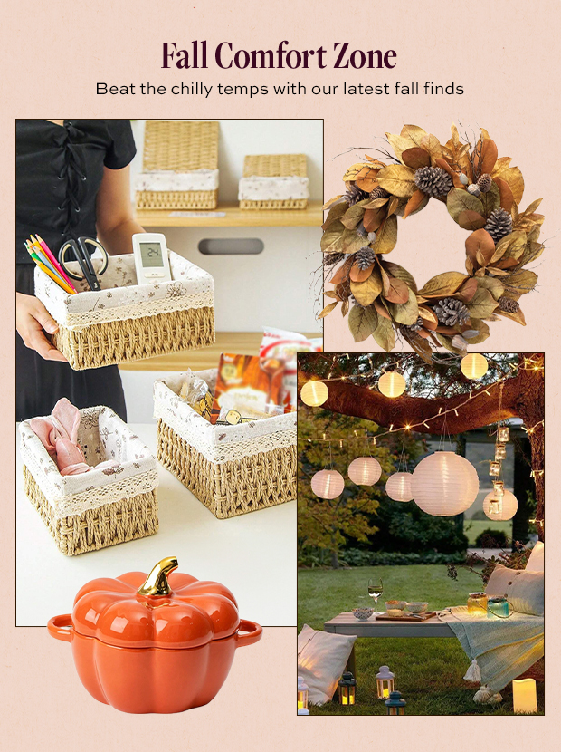 Fall Comfort Zone