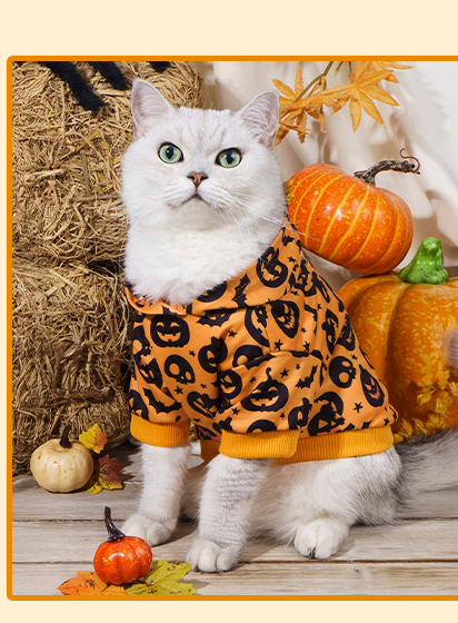 TREAT YOUR FURRY GHOUL
